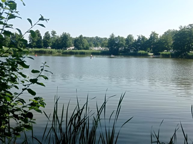 am
                        See