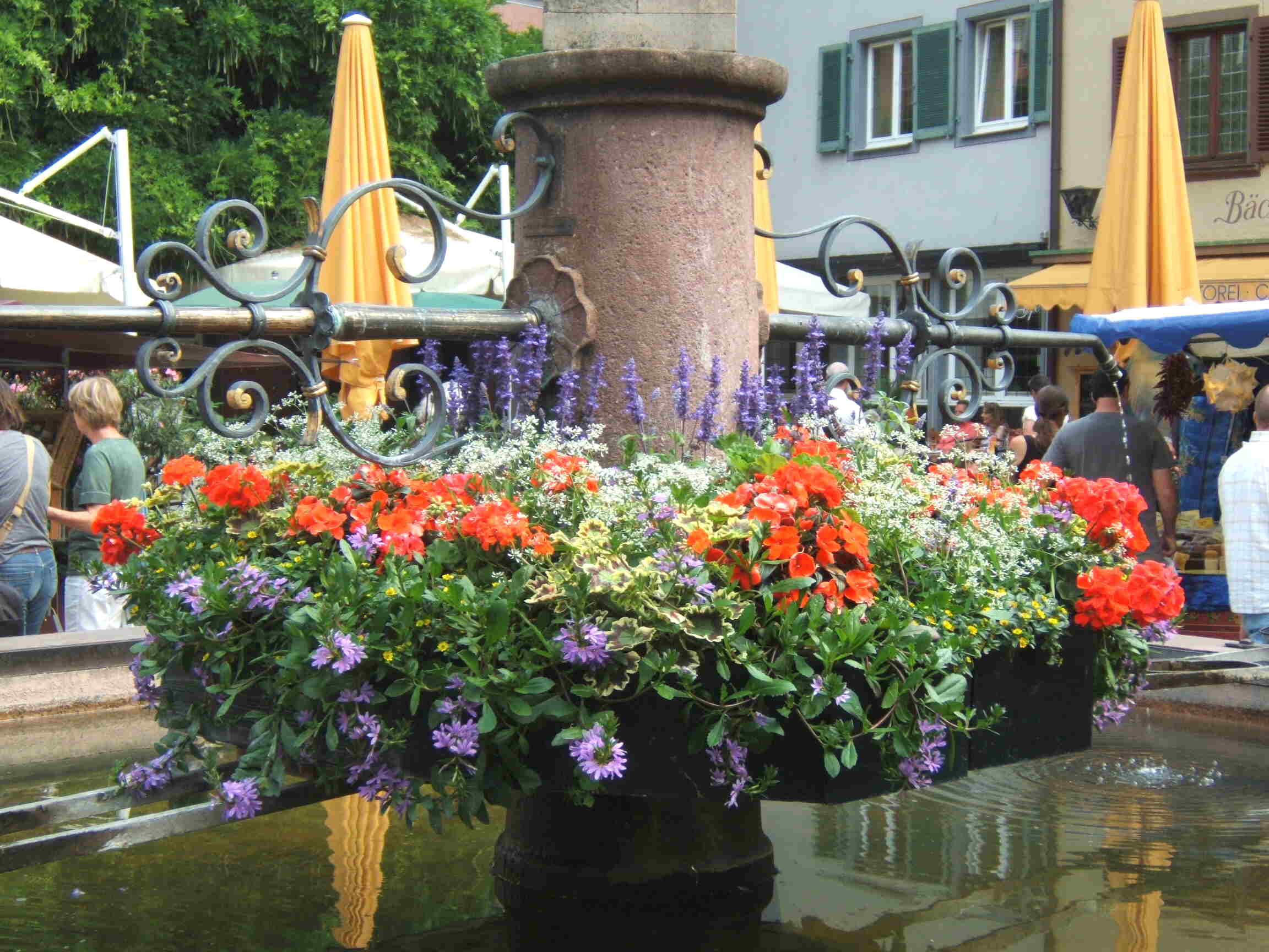 Blumenbrunnen in
                        Staufen